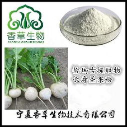 长寿食品选购指南 价格、型号、图片与经营要点解析